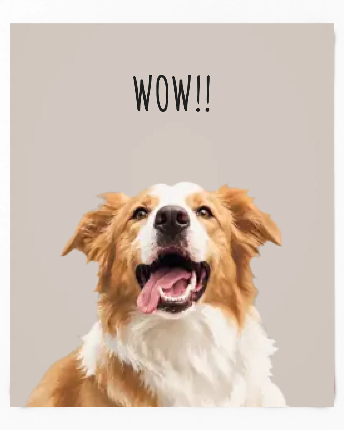 WOW custom pet portrait blanket