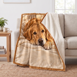 Cozy Golden Retriever Portrait Sherpa Blanket