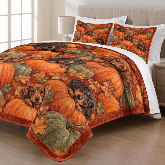 Pumpkin Patch Dachshund quilt set with two matching pillow shams on a made bed
